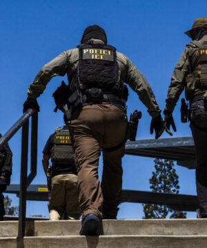 Americans Voted to Deport Illegal Aliens