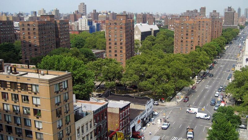 Fear and Loathing in Spanish Harlem