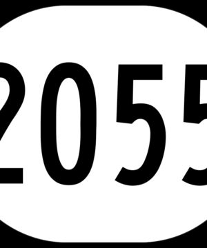 Dystopia 2055