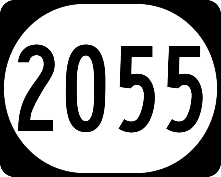 Dystopia 2055