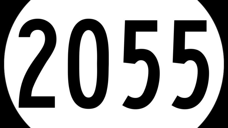 Dystopia 2055